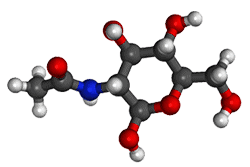 Acetylglucosamin