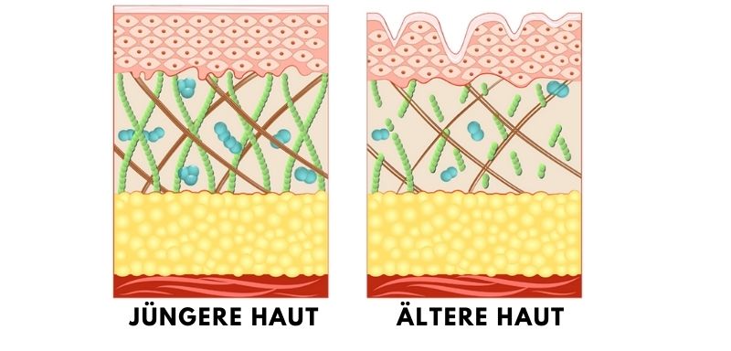 JĂŒngere haut - Ăltere haut